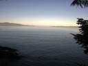 ./images/koeye/fitz-hugh/20210813/fitz-hugh20210813_080001.jpg
