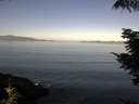 ./images/koeye/fitz-hugh/20210813/fitz-hugh20210813_100002.jpg