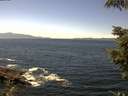 ./images/koeye/fitz-hugh/20210813/fitz-hugh20210813_140001.jpg