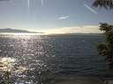 ./images/koeye/fitz-hugh/20210813/fitz-hugh20210813_160002.jpg