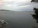 ./images/koeye/fitz-hugh/20210814/fitz-hugh20210814_060002.jpg