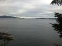 ./images/koeye/fitz-hugh/20210814/fitz-hugh20210814_080001.jpg