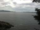 ./images/koeye/fitz-hugh/20210814/fitz-hugh20210814_120002.jpg