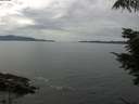 ./images/koeye/fitz-hugh/20210814/fitz-hugh20210814_140001.jpg