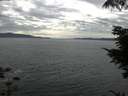 ./images/koeye/fitz-hugh/20210814/fitz-hugh20210814_160001.jpg