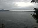 ./images/koeye/fitz-hugh/20210814/fitz-hugh20210814_180002.jpg
