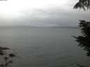 ./images/koeye/fitz-hugh/20210815/fitz-hugh20210815_060001.jpg