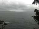 ./images/koeye/fitz-hugh/20210815/fitz-hugh20210815_080002.jpg