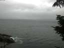 ./images/koeye/fitz-hugh/20210815/fitz-hugh20210815_100001.jpg