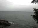 ./images/koeye/fitz-hugh/20210815/fitz-hugh20210815_120002.jpg