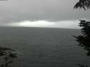 ./images/koeye/fitz-hugh/20210815/fitz-hugh20210815_160001.jpg