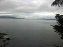 ./images/koeye/fitz-hugh/20210816/fitz-hugh20210816_080001.jpg