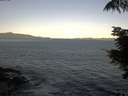 ./images/koeye/fitz-hugh/20210817/fitz-hugh20210817_080001.jpg