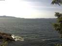 ./images/koeye/fitz-hugh/20210817/fitz-hugh20210817_140001.jpg