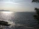 ./images/koeye/fitz-hugh/20210817/fitz-hugh20210817_160001.jpg