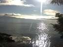./images/koeye/fitz-hugh/20210818/fitz-hugh20210818_180002.jpg