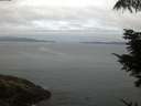 ./images/koeye/fitz-hugh/20210820/fitz-hugh20210820_060001.jpg