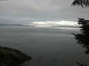 ./images/koeye/fitz-hugh/20210820/fitz-hugh20210820_080002.jpg