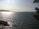 ./images/koeye/fitz-hugh/20210820/fitz-hugh20210820_160001.jpg