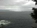 ./images/koeye/fitz-hugh/20210821/fitz-hugh20210821_120001.jpg