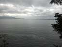 ./images/koeye/fitz-hugh/20210821/fitz-hugh20210821_140002.jpg