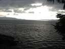 ./images/koeye/fitz-hugh/20210821/fitz-hugh20210821_180001.jpg