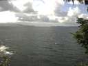 ./images/koeye/fitz-hugh/20210822/fitz-hugh20210822_140002.jpg