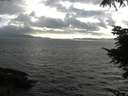 ./images/koeye/fitz-hugh/20210822/fitz-hugh20210822_180001.jpg