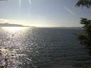 ./images/koeye/fitz-hugh/20210823/fitz-hugh20210823_160001.jpg