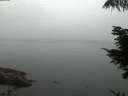 ./images/koeye/fitz-hugh/20210824/fitz-hugh20210824_060002.jpg