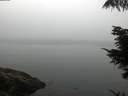./images/koeye/fitz-hugh/20210824/fitz-hugh20210824_080001.jpg