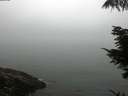 ./images/koeye/fitz-hugh/20210824/fitz-hugh20210824_100001.jpg