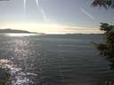 ./images/koeye/fitz-hugh/20210824/fitz-hugh20210824_160002.jpg
