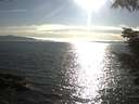./images/koeye/fitz-hugh/20210824/fitz-hugh20210824_180002.jpg