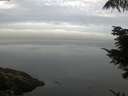 ./images/koeye/fitz-hugh/20210825/fitz-hugh20210825_080002.jpg
