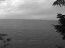 ./images/koeye/fitz-hugh/20210826/fitz-hugh20210826_060002.jpg