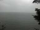 ./images/koeye/fitz-hugh/20210826/fitz-hugh20210826_160001.jpg