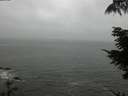 ./images/koeye/fitz-hugh/20210826/fitz-hugh20210826_180002.jpg