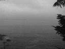 ./images/koeye/fitz-hugh/20210827/fitz-hugh20210827_060002.jpg