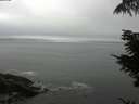 ./images/koeye/fitz-hugh/20210827/fitz-hugh20210827_120002.jpg