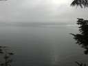 ./images/koeye/fitz-hugh/20210827/fitz-hugh20210827_180002.jpg
