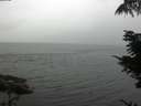 ./images/koeye/fitz-hugh/20210828/fitz-hugh20210828_080001.jpg