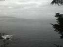 ./images/koeye/fitz-hugh/20210829/fitz-hugh20210829_060002.jpg