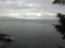 ./images/koeye/fitz-hugh/20210829/fitz-hugh20210829_080001.jpg