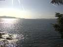 ./images/koeye/fitz-hugh/20210829/fitz-hugh20210829_160001.jpg