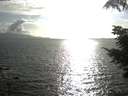 ./images/koeye/fitz-hugh/20210829/fitz-hugh20210829_180002.jpg
