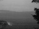 ./images/koeye/fitz-hugh/20210830/fitz-hugh20210830_060002.jpg