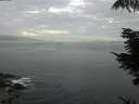 ./images/koeye/fitz-hugh/20210830/fitz-hugh20210830_080002.jpg