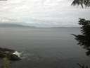./images/koeye/fitz-hugh/20210830/fitz-hugh20210830_100001.jpg