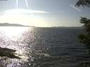 ./images/koeye/fitz-hugh/20210831/fitz-hugh20210831_160001.jpg